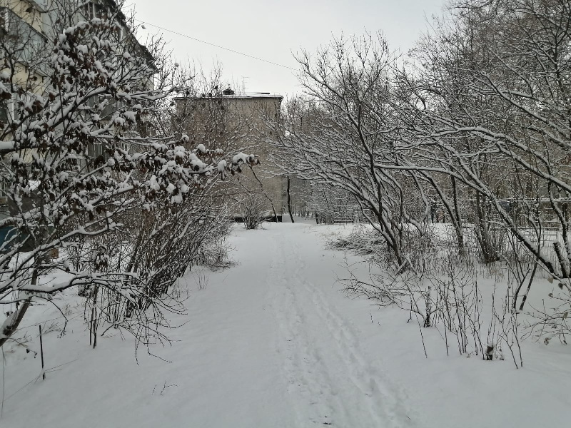Юго-западный циклон принёс в Благовещенск рекордное количество снега - 2x2.su