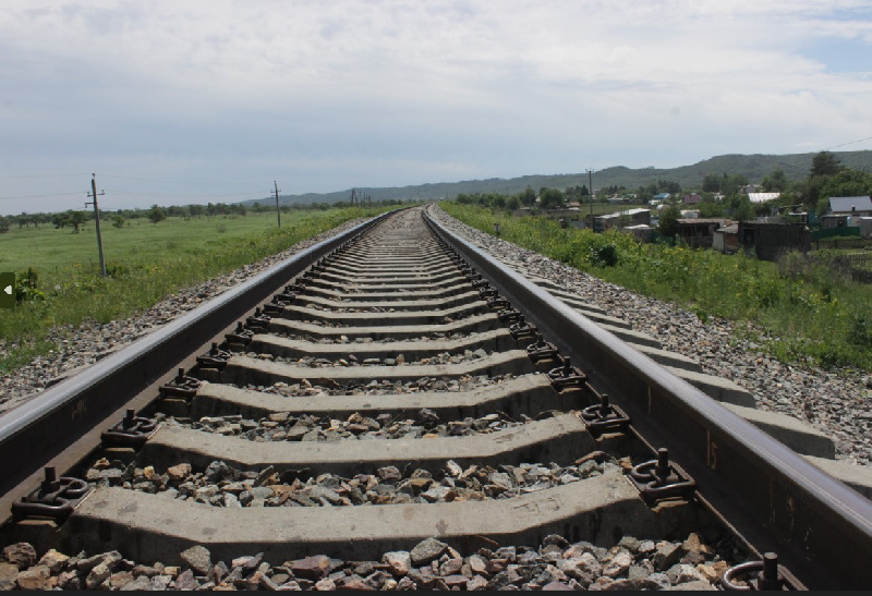 В посёлке Магдагачи наказали родителей подростков, игравших на железной дороге